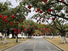 -厦门大学(思明校区)