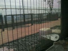 -梧桐餐厅(泉城路店)