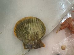 -红月湾海鲜饭店•沙滩海景(双月湾店)