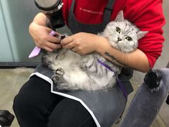 -PETKIT小佩宠物·低压洗护(国顺东路店)