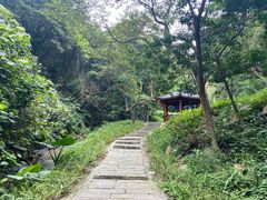 -黄埔油麻山森林公园