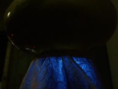 -养心阁足道馆(火宫殿一店)