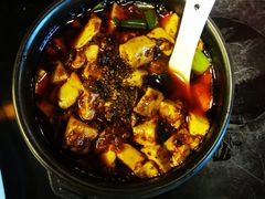 -陈麻婆豆腐总店