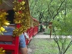 -上海共青森林公园