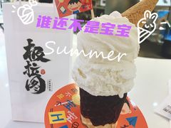-极拉图·现制冰淇淋(大卫城店)