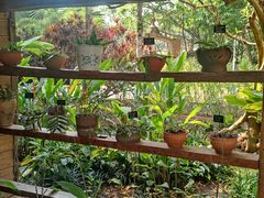 -中国科学院西双版纳热带植物园