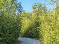 -北京园博大酒店