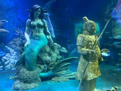 -太奥幻太奇海洋馆