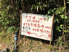 野蜂繁殖基地-井空里大峡谷