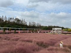 -嘉北郊野公园