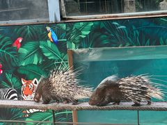 -清迈夜间动物园