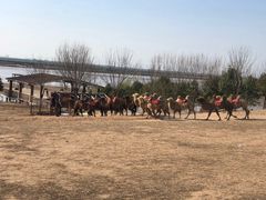 -古柏渡飞黄旅游区