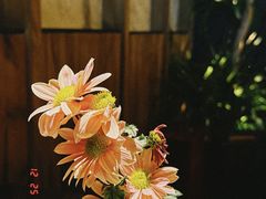-Magnet磁食(愚园路店)