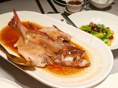清蒸东星斑-徐记海鲜·始于1999(南油永新汇店)