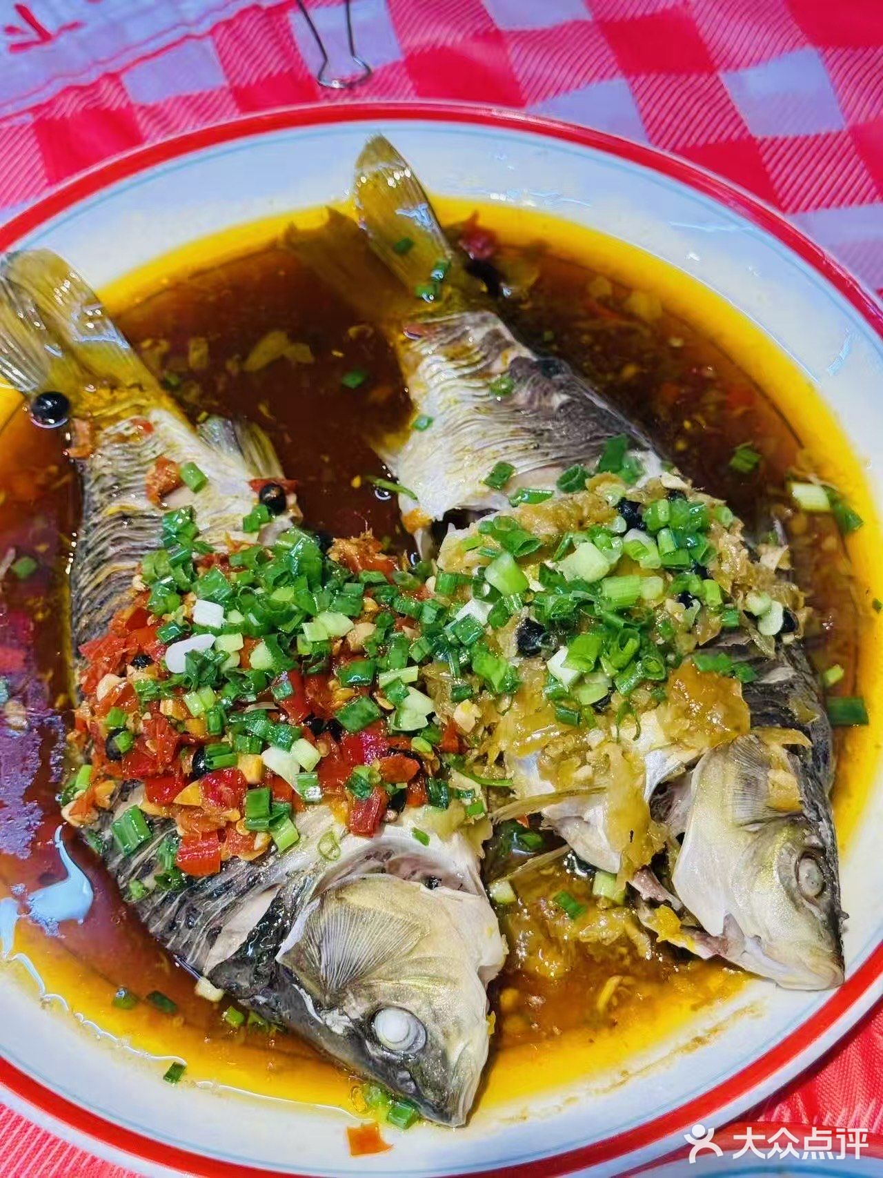 宝子们快冲！秀才土鲫鱼