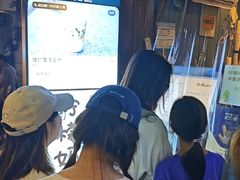 -猫的魔法密林(衣裳街店)