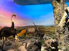 -国家自然博物馆