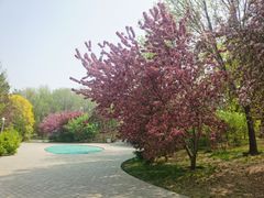 -北极寺公园