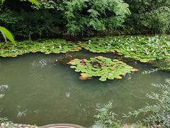 -白马涧龙池景区