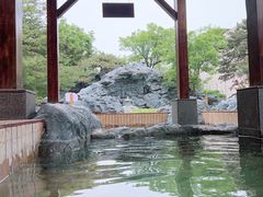 -和园景逸大酒店朗月汤泉