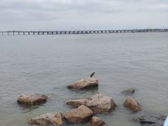 -宝安西湾红树林湿地公园