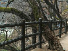 -栾川竹海野生动物园