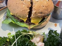 -bluefrog蓝蛙(水游城店)