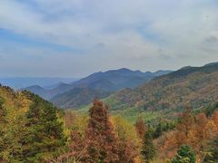-四明山国家森林公园