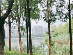 -南翔镇银翔湖公园