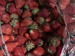 -江杨农产品批发市场