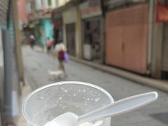 -洪馨椰子