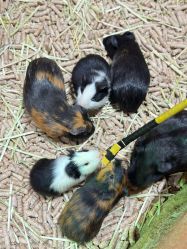 -Zoolung Zoolung动物主题公园(海信广场店)