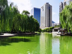 -团结湖公园