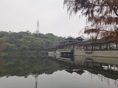 -重庆彩云湖湿地公园