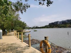 -华侨城湿地公园