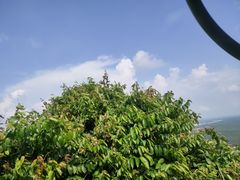 -海南铜鼓岭景区