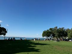 -Movenpick Newmarket