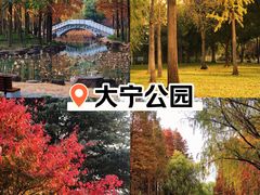 -大宁公园