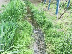 -白水寺森林公园