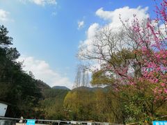 -天台山赤城山景区
