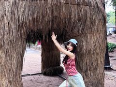 -洛阳白云山景区