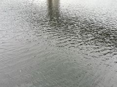 -千岛湖城中湖游船码头