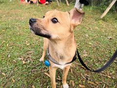 -白鹭湾湿地公园