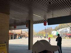-千年银杏谷文化旅游区