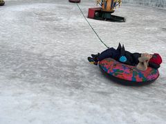 -沈阳奥体冰雪嘉年华