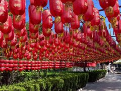 -大槐树寻根祭祖园