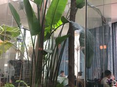 -IL Forno 意坊·意大利餐厅(花园店)