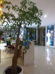 -痘院长·祛痘·皮肤管理