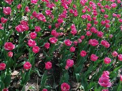 -长春公园(普阳街道)