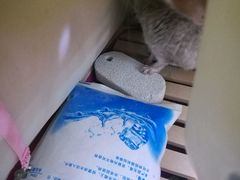 -严国平动物医院(德政总院)